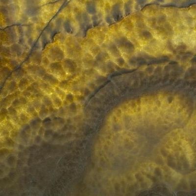 Оникс Dove (Даф)