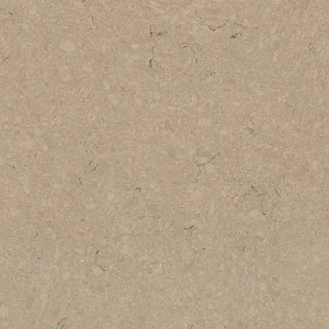 Samsung Radianz Boletus BL260