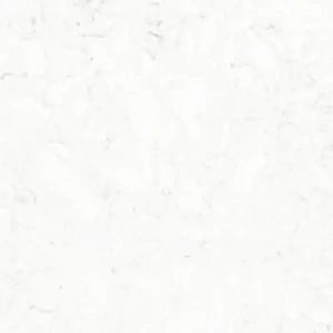 Samsung Radianz Sequoia SE155