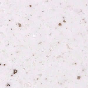 Hanex by Hyundai L&C T-068 Rice Cookie Hanex by Hyundai L&C T-068 Rice Cookie