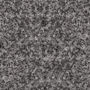 Staron Samsung Zenith FZ184