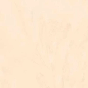 Corian Ecru Corian Ecru