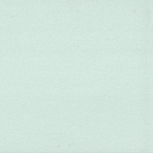 Staron Samsung Sanded Mint SM463