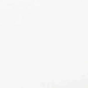 Belenco Angel White 2110