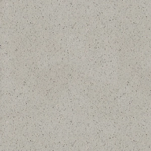 Staron Samsung anded Goose SG428