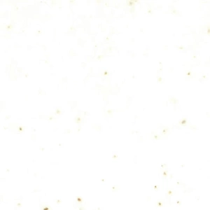 NeoMarm N-421 NeoMarm N-421