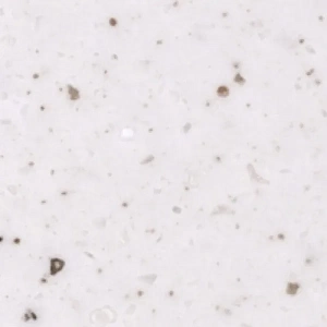 Pluton T068 Pluton T068