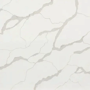 Samsung Radianz Nantucket Whale NW124