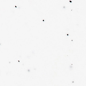 Kerrock Salt and pepper 1091 Kerrock Salt and pepper 1091